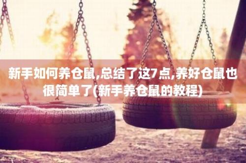 新手如何养仓鼠,总结了这7点,养好仓鼠也很简单了(新手养仓鼠的教程)