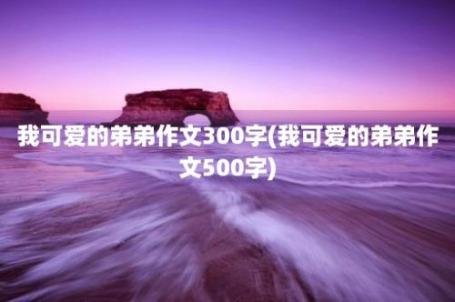 我可爱的弟弟作文300字(我可爱的弟弟作文500字)