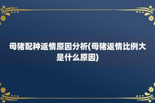 母猪配种返情原因分析(母猪返情比例大是什么原因)