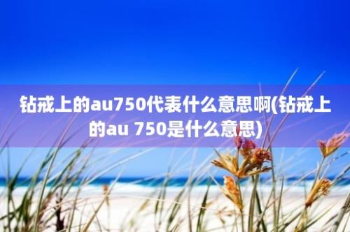 钻戒上的au750代表什么意思啊(钻戒上的au 750是什么意思)