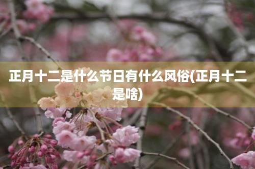 正月十二是什么节日有什么风俗(正月十二是啥)