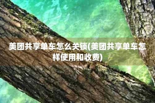 美团共享单车怎么关锁(美团共享单车怎样使用和收费)