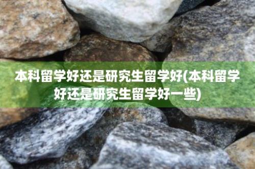 本科留学好还是研究生留学好(本科留学好还是研究生留学好一些)