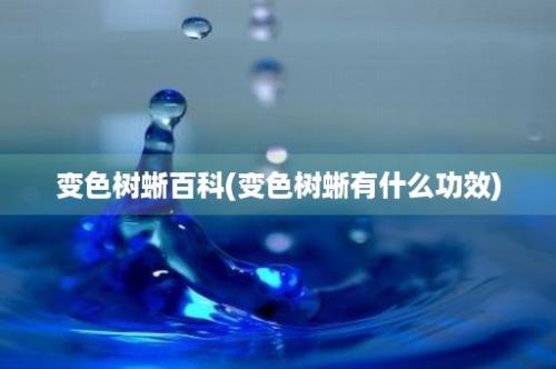 变色树蜥百科(变色树蜥有什么功效)