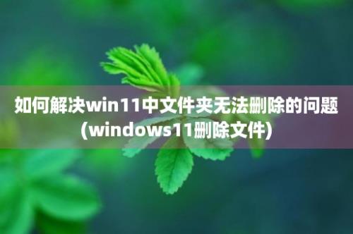 如何解决win11中文件夹无法删除的问题(windows11删除文件)