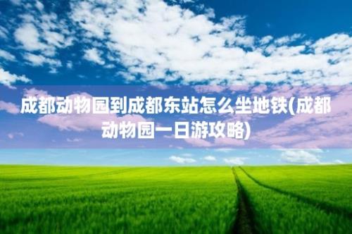 成都动物园到成都东站怎么坐地铁(成都动物园一日游攻略)