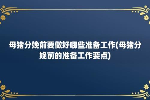 母猪分娩前要做好哪些准备工作(母猪分娩前的准备工作要点)