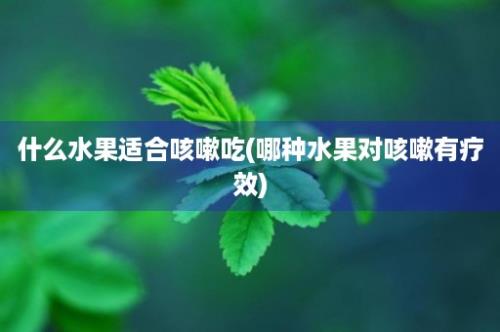 什么水果适合咳嗽吃(哪种水果对咳嗽有疗效)