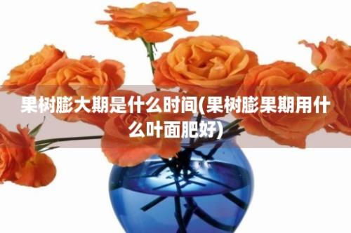 果树膨大期是什么时间(果树膨果期用什么叶面肥好)