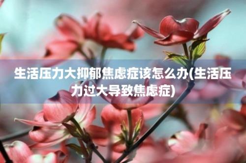 生活压力大抑郁焦虑症该怎么办(生活压力过大导致焦虑症)