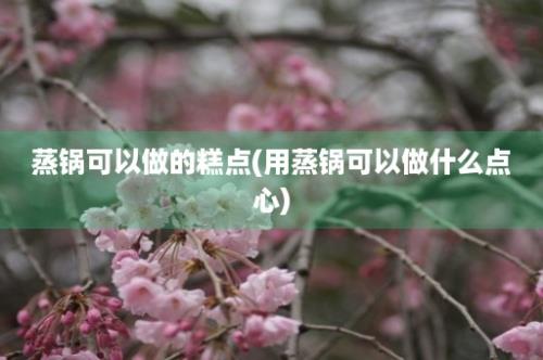 蒸锅可以做的糕点(用蒸锅可以做什么点心)