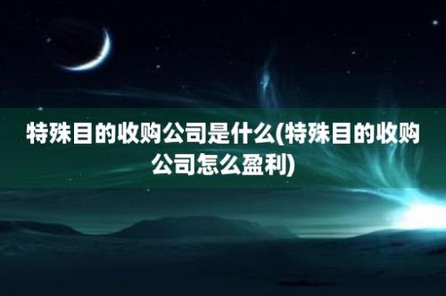 特殊目的收购公司是什么(特殊目的收购公司怎么盈利)