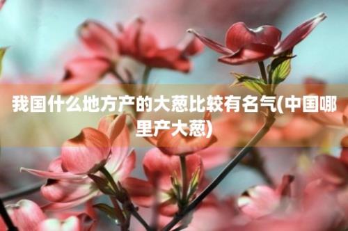 我国什么地方产的大葱比较有名气(中国哪里产大葱)