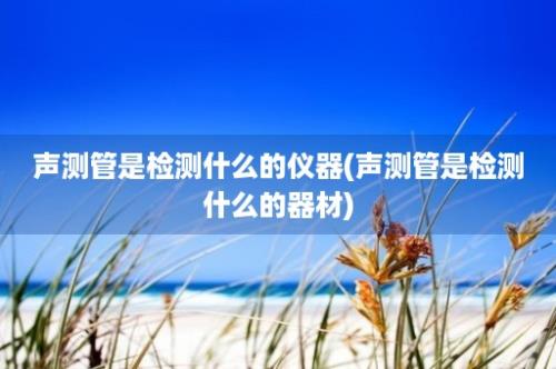 声测管是检测什么的仪器(声测管是检测什么的器材)