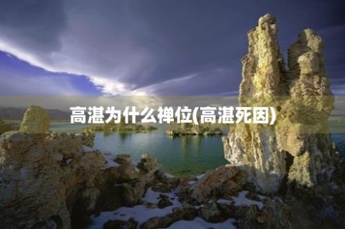 高湛为什么禅位(高湛死因)