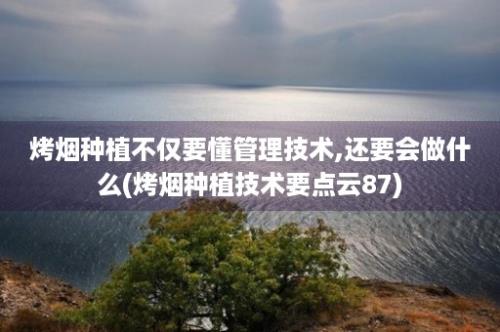 烤烟种植不仅要懂管理技术,还要会做什么(烤烟种植技术要点云87)