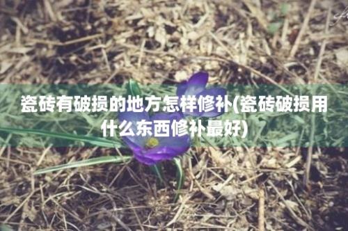 瓷砖有破损的地方怎样修补(瓷砖破损用什么东西修补最好)