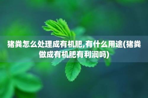 猪粪怎么处理成有机肥,有什么用途(猪粪做成有机肥有利润吗)