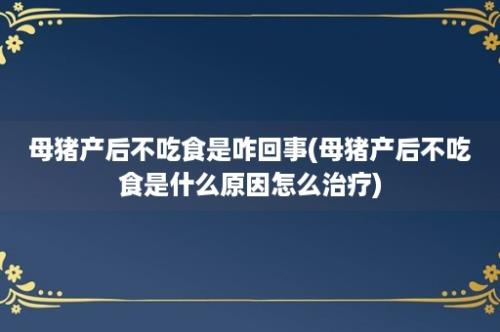 母猪产后不吃食是咋回事(母猪产后不吃食是什么原因怎么治疗)