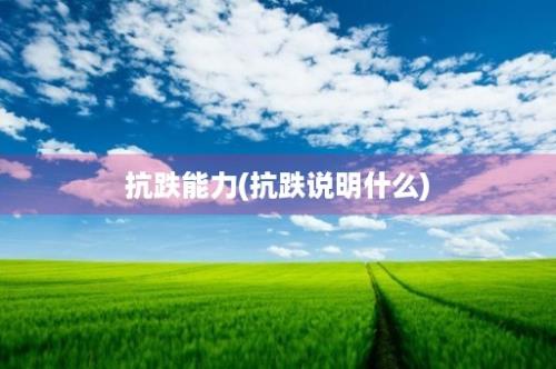 抗跌能力(抗跌说明什么)