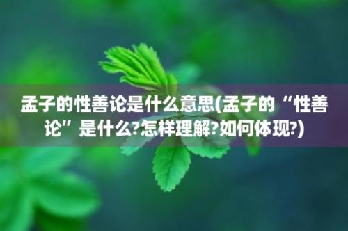 孟子的性善论是什么意思(孟子的“性善论”是什么?怎样理解?如何体现?)