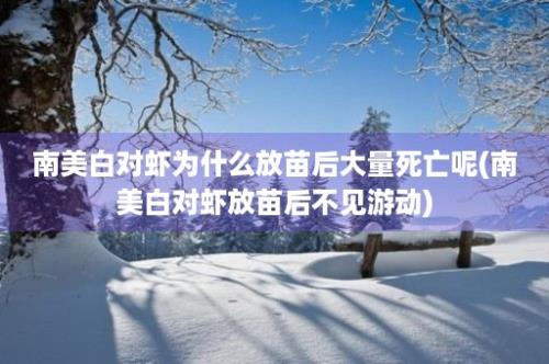 南美白对虾为什么放苗后大量死亡呢(南美白对虾放苗后不见游动)