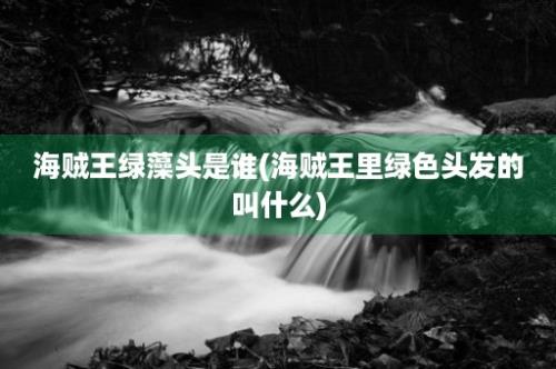 海贼王绿藻头是谁(海贼王里绿色头发的叫什么)