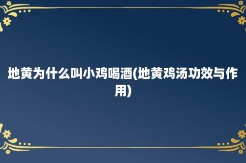 地黄为什么叫小鸡喝酒(地黄鸡汤功效与作用)