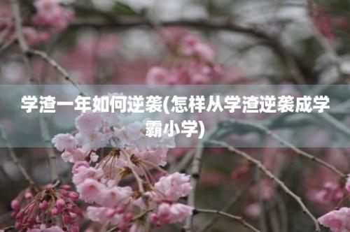 学渣一年如何逆袭(怎样从学渣逆袭成学霸小学)