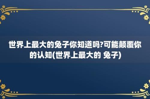 世界上最大的兔子你知道吗?可能颠覆你的认知(世界上最大的 兔子)