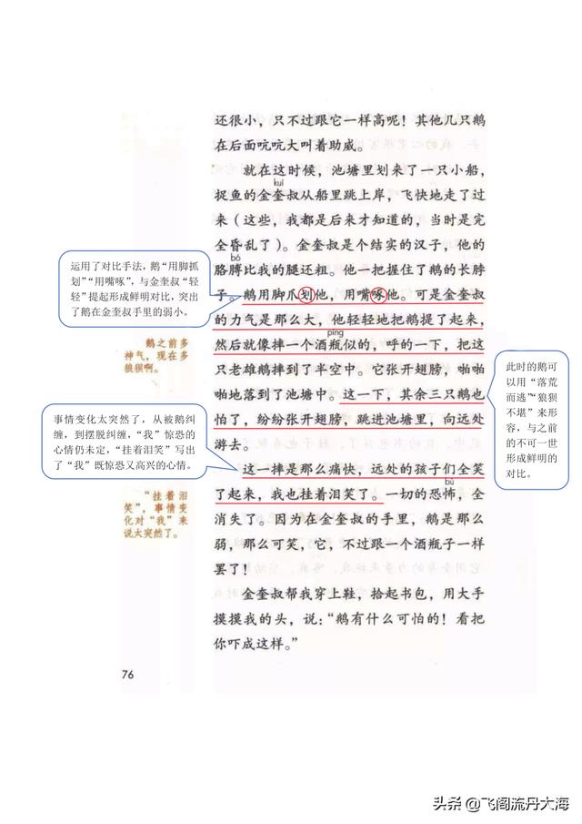 四年级上册语文牛和鹅学习笔记（小学四年级上语文18课牛和鹅课堂笔记）(3)