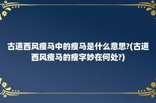 古道西风瘦马中的瘦马是什么意思?(古道西风瘦马的瘦字妙在何处?)