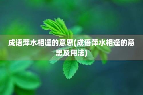 成语萍水相逢的意思(成语萍水相逢的意思及用法)