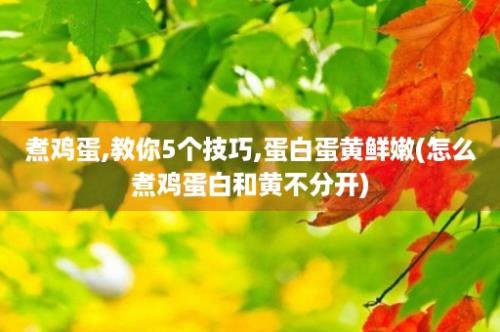 煮鸡蛋,教你5个技巧,蛋白蛋黄鲜嫩(怎么煮鸡蛋白和黄不分开)