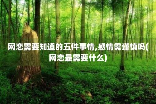 网恋需要知道的五件事情,感情需谨慎吗(网恋最需要什么)