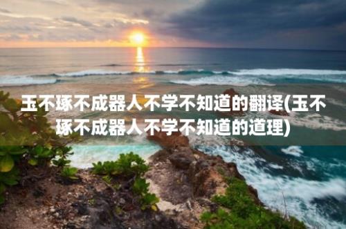 玉不琢不成器人不学不知道的翻译(玉不琢不成器人不学不知道的道理)