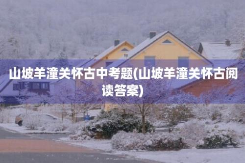 山坡羊潼关怀古中考题(山坡羊潼关怀古阅读答案)