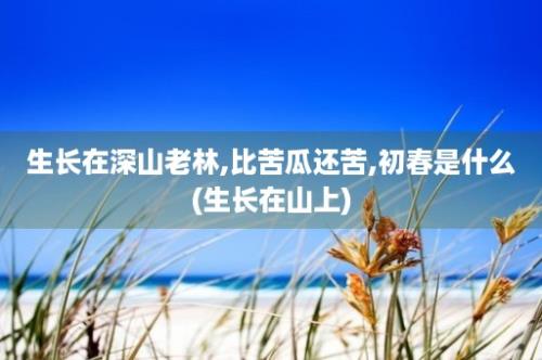 生长在深山老林,比苦瓜还苦,初春是什么(生长在山上)