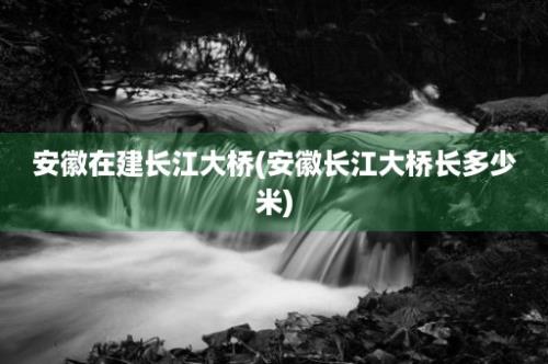 安徽在建长江大桥(安徽长江大桥长多少米)