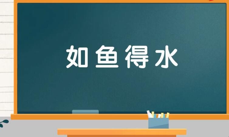 如鱼得水怎么造句