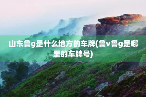 山东鲁g是什么地方的车牌(鲁v鲁g是哪里的车牌号)