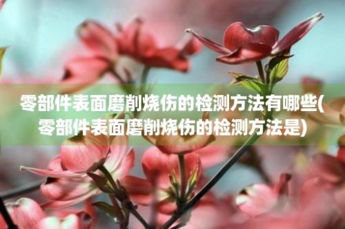 零部件表面磨削烧伤的检测方法有哪些(零部件表面磨削烧伤的检测方法是)