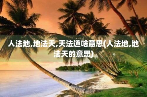 人法地,地法天,天法道啥意思(人法地,地法天的意思)