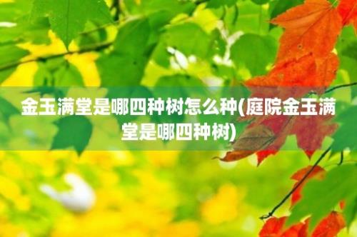 金玉满堂是哪四种树怎么种(庭院金玉满堂是哪四种树)