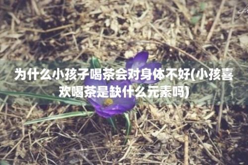 为什么小孩子喝茶会对身体不好(小孩喜欢喝茶是缺什么元素吗)