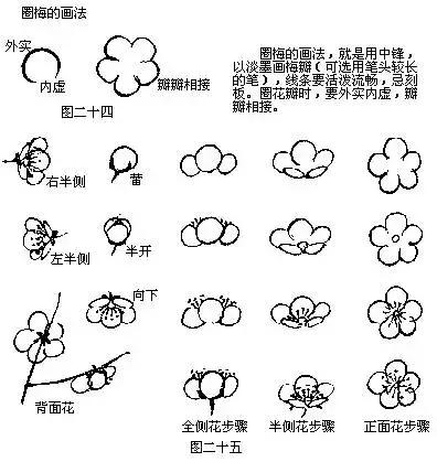 国画初学者入门步骤画梅花（大家一起学学国画梅花的各种画法）(18)