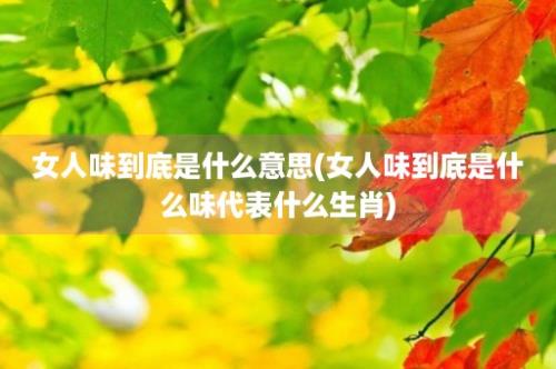 女人味到底是什么意思(女人味到底是什么味代表什么生肖)