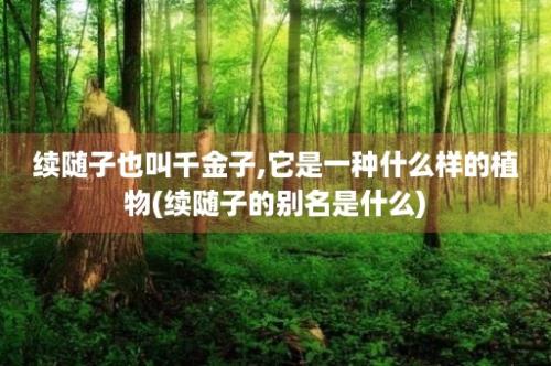 续随子也叫千金子,它是一种什么样的植物(续随子的别名是什么)