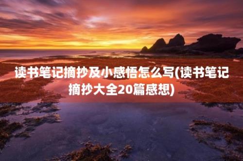 读书笔记摘抄及小感悟怎么写(读书笔记摘抄大全20篇感想)