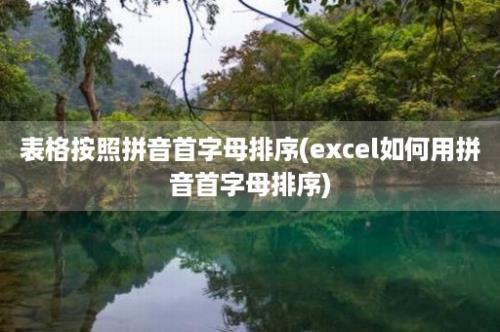 表格按照拼音首字母排序(excel如何用拼音首字母排序)